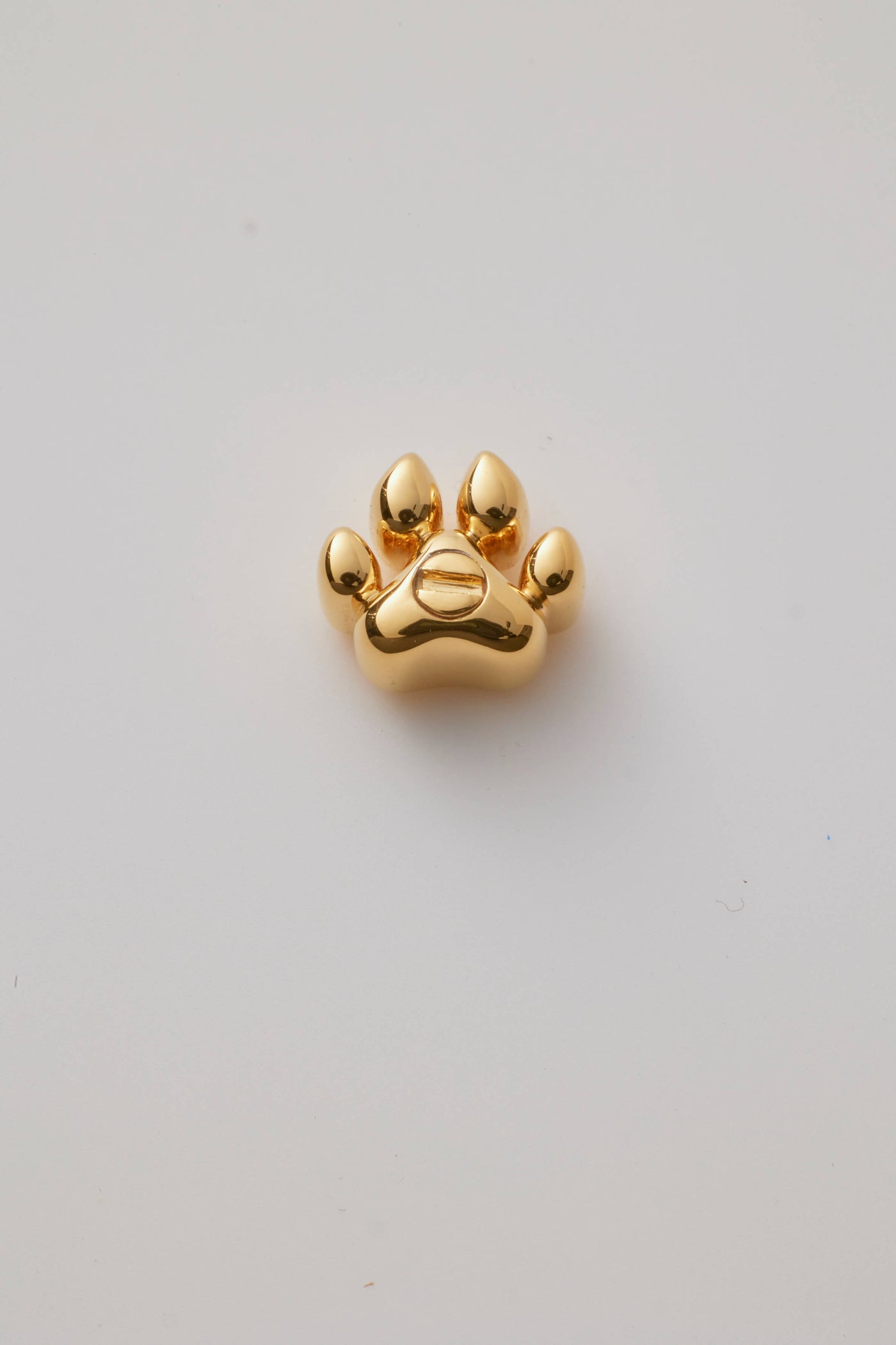 Ashes Large Dog Paw Charm